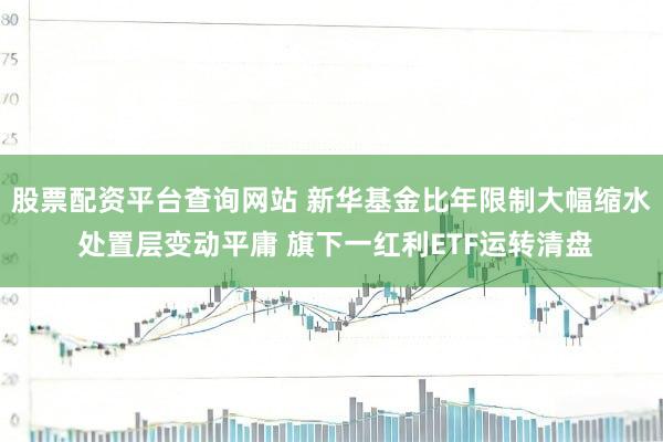 股票配资平台查询网站 新华基金比年限制大幅缩水 处置层变动平庸 旗下一红利ETF运转清盘