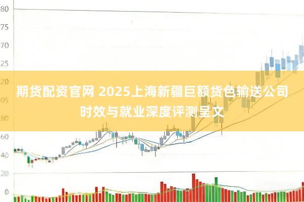 期货配资官网 2025上海新疆巨额货色输送公司时效与就业深度评测呈文